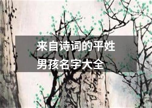 来自诗词的平姓男孩名字大全