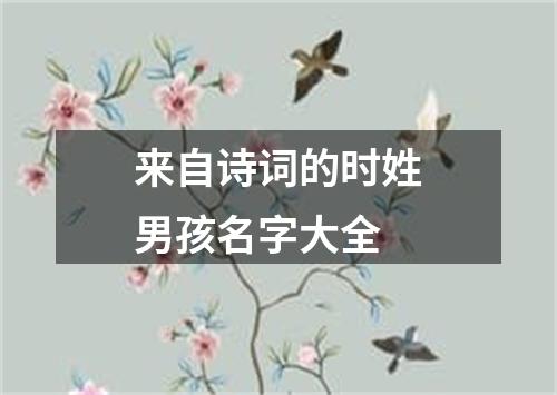 来自诗词的时姓男孩名字大全