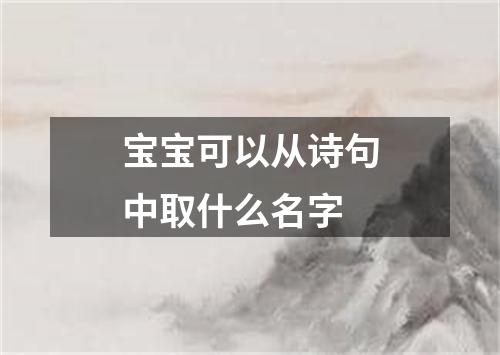 宝宝可以从诗句中取什么名字