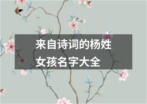 来自诗词的杨姓女孩名字大全