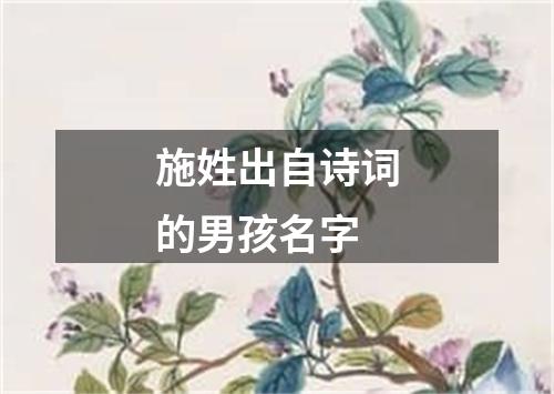 施姓出自诗词的男孩名字