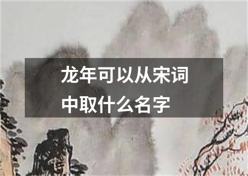 龙年可以从宋词中取什么名字