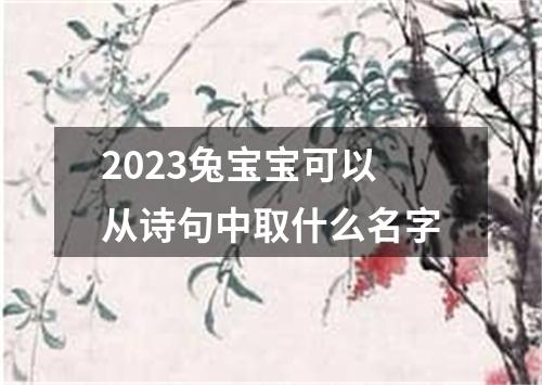 2023兔宝宝可以从诗句中取什么名字