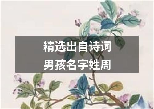 精选出自诗词男孩名字姓周