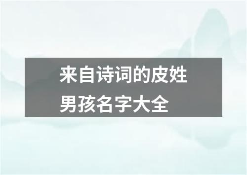 来自诗词的皮姓男孩名字大全