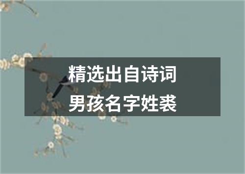 精选出自诗词男孩名字姓裘