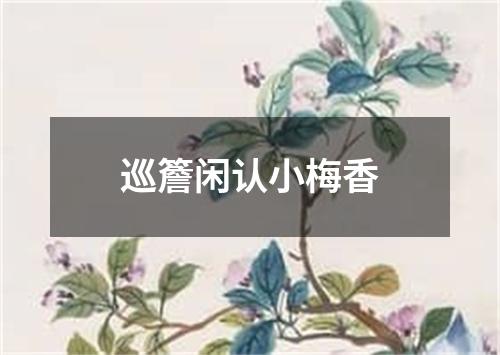 巡簷闲认小梅香