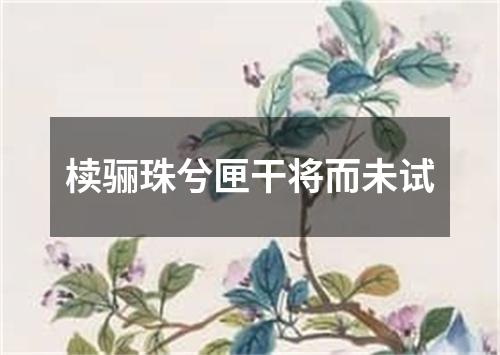 椟骊珠兮匣干将而未试