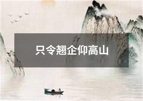 只令翘企仰高山