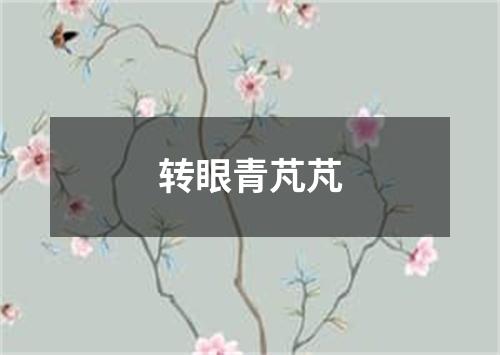 转眼青芃芃