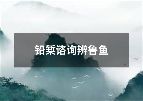 铅椠谘询辨鲁鱼