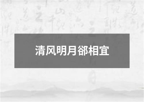 清风明月郤相宜