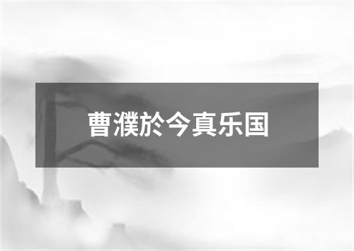 曹濮於今真乐国