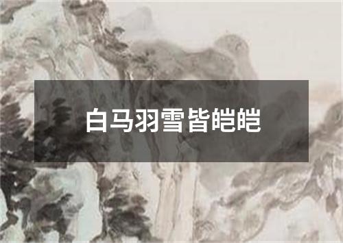 白马羽雪皆皑皑