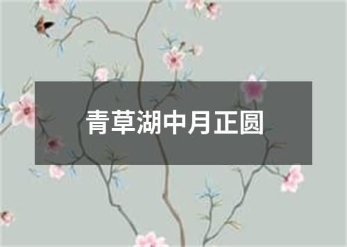 青草湖中月正圆