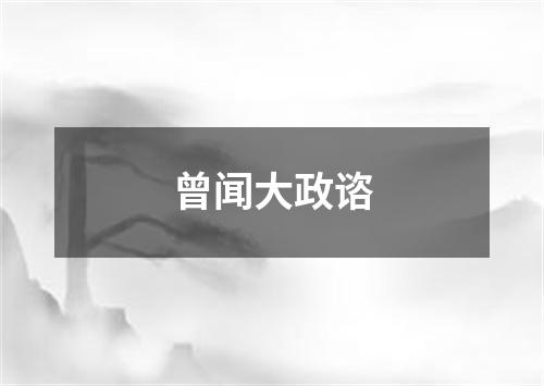 曾闻大政谘