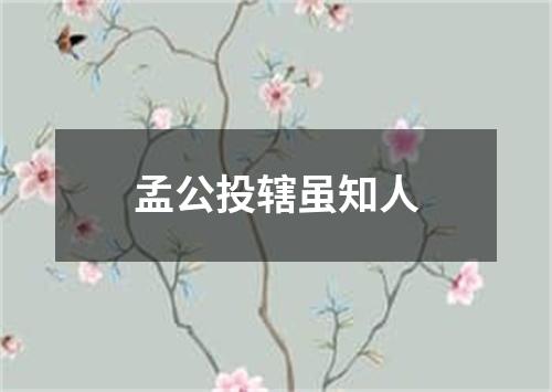 孟公投辖虽知人