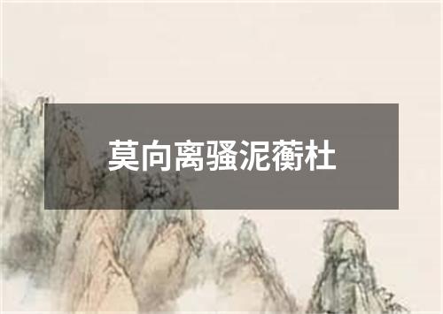 莫向离骚泥蘅杜