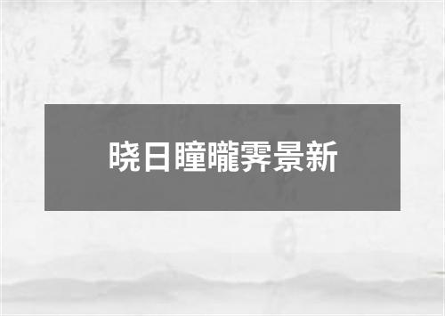 晓日瞳曨霁景新