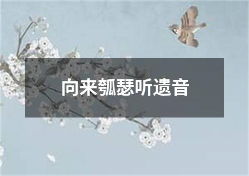 向来瓠瑟听遗音