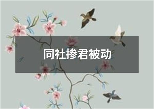 同社掺君被动