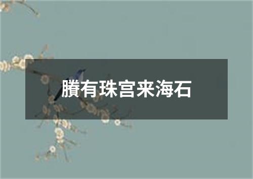 賸有珠宫来海石