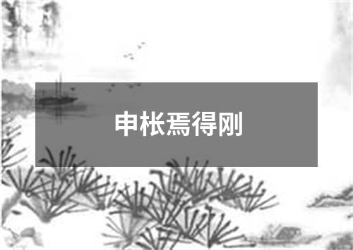 申枨焉得刚