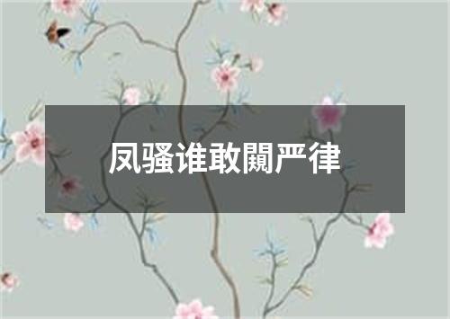 凤骚谁敢闚严律