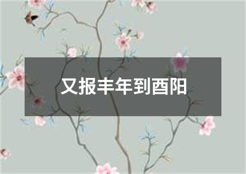 又报丰年到酉阳