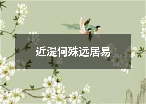 近湜何殊远居易