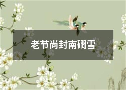 老节尚封南磵雪