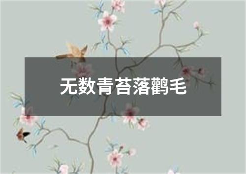 无数青苔落鹳毛