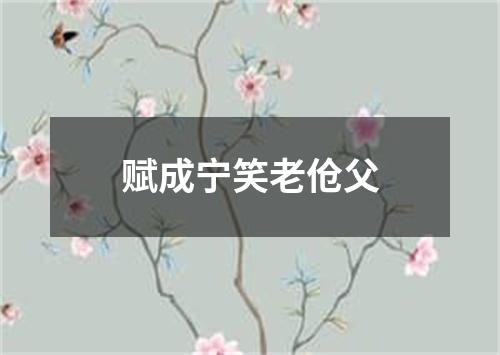 赋成宁笑老伧父