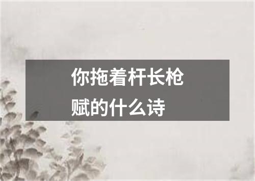 你拖着杆长枪赋的什么诗