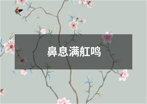 鼻息满舡鸣