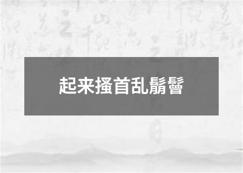 起来搔首乱鬅鬙