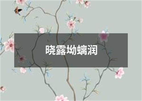 晓露坳螭润