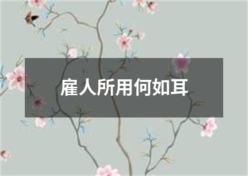 雇人所用何如耳