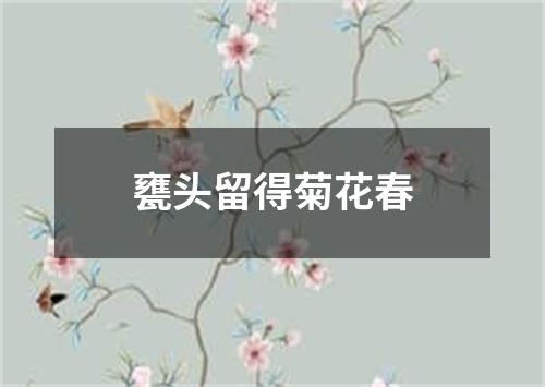 甕头留得菊花春