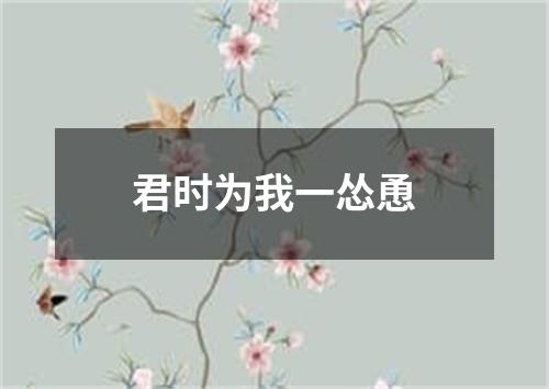 君时为我一怂恿