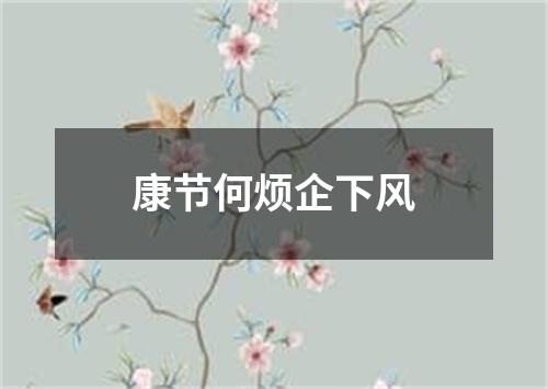 康节何烦企下风