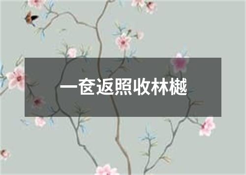 一奁返照收林樾