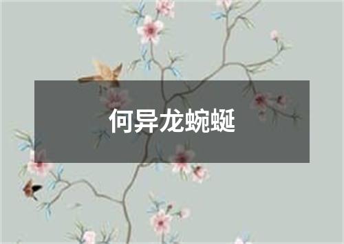 何异龙蜿蜒