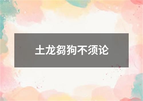 土龙芻狗不须论