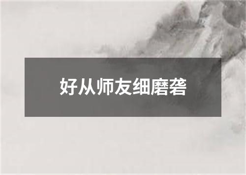 好从师友细磨砻