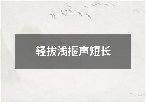 轻拔浅揠声短长