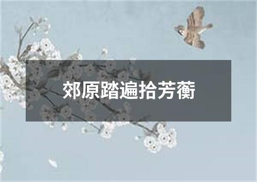 郊原踏遍拾芳蘅