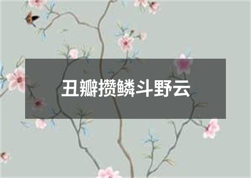 丑瓣攒鳞斗野云