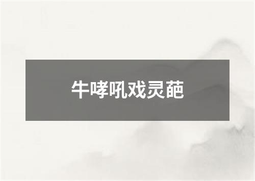 牛哮吼戏灵葩