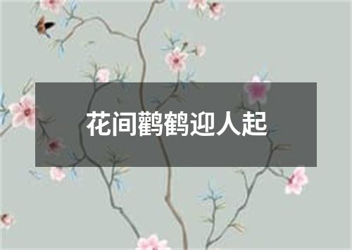 花间鹳鹤迎人起